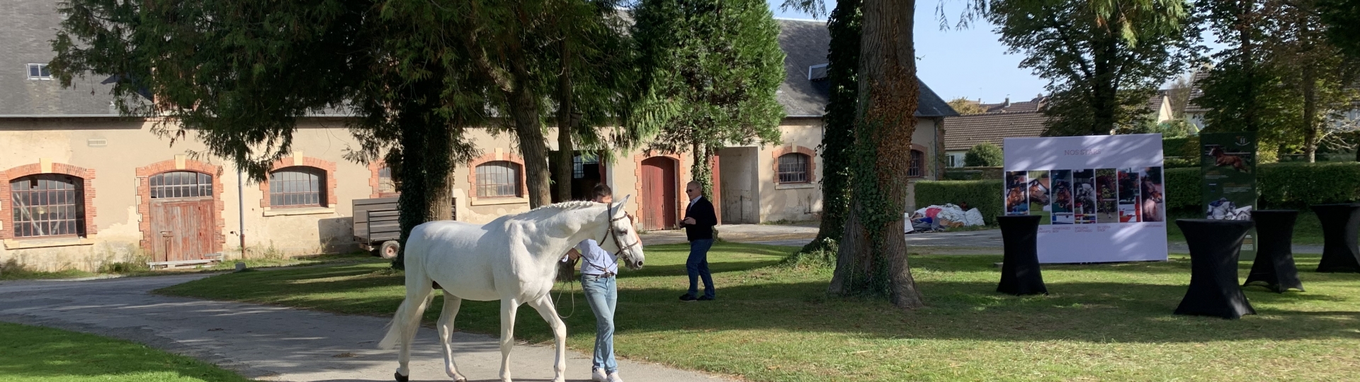 Hengst Mylord Carthago - Haras de Saint-Lô - oct 2023