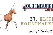 vente aux enchères élite de foals d'Oldenburg 6 août 2022