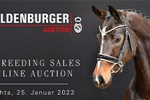 Oldenburger Breeding Sales