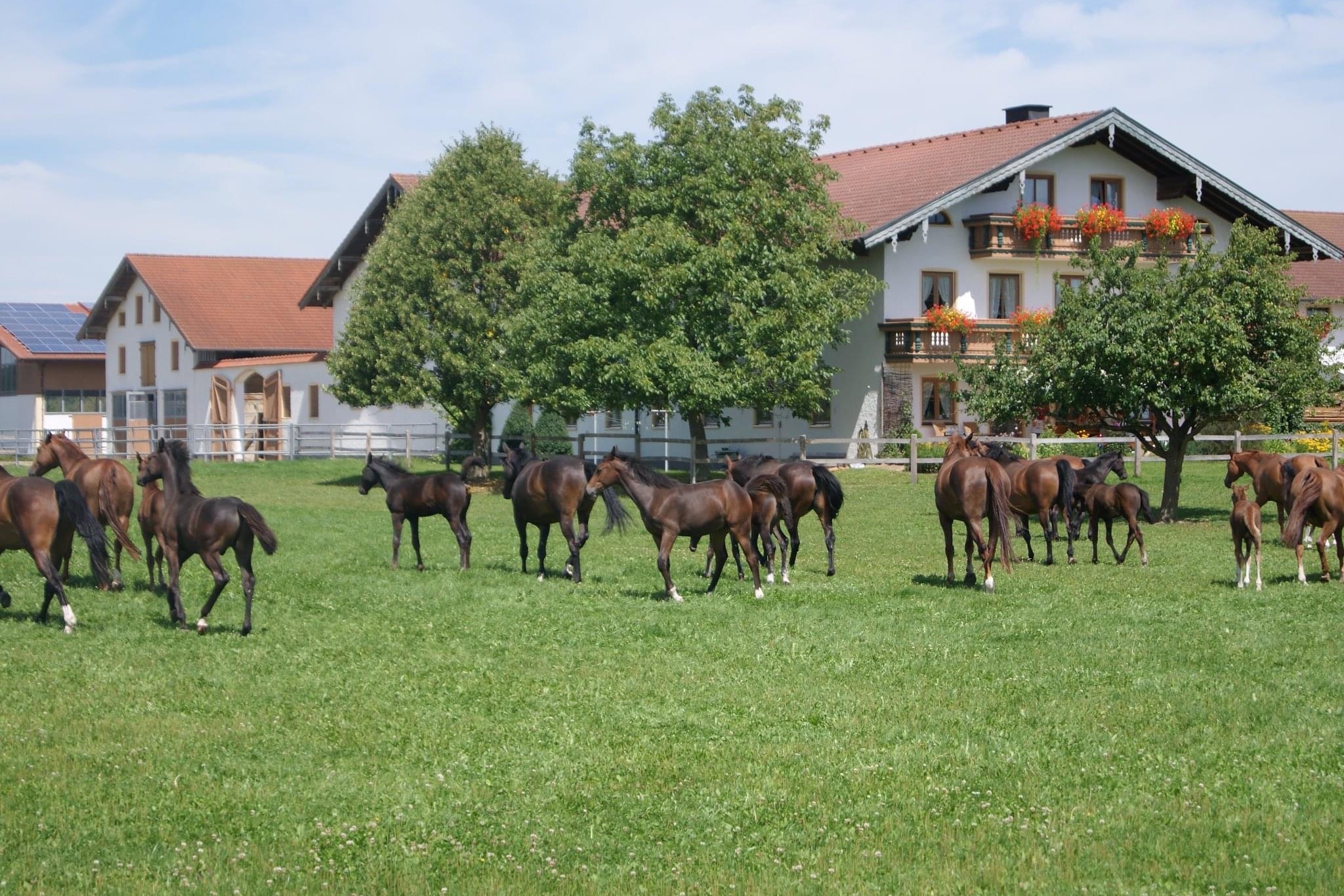 Zuchthof Franz Galneder