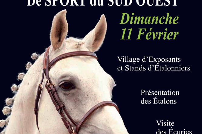 Salon des Etalons de Sport du Sud Ouest 11 février 2024