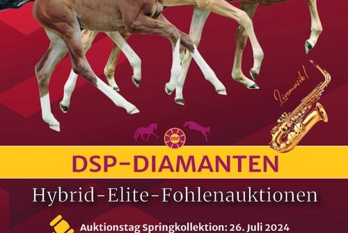 vente aux enchères élite des foals DSP